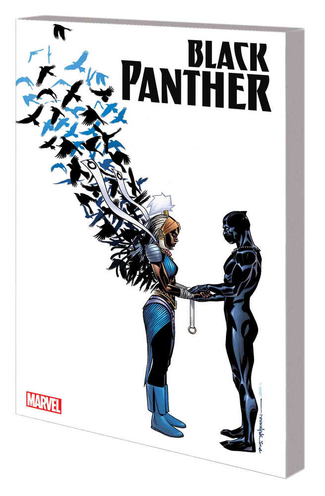 Black Panther Book 03: Nation Under Our Feet TPB