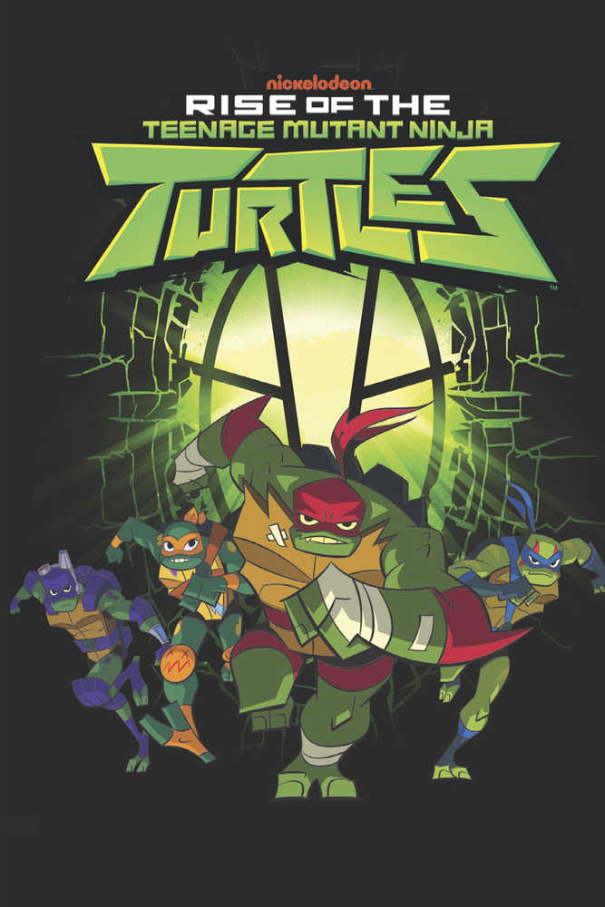 Rise Of The Teenage Mutant Ninja Turtles Vol 01 TPB