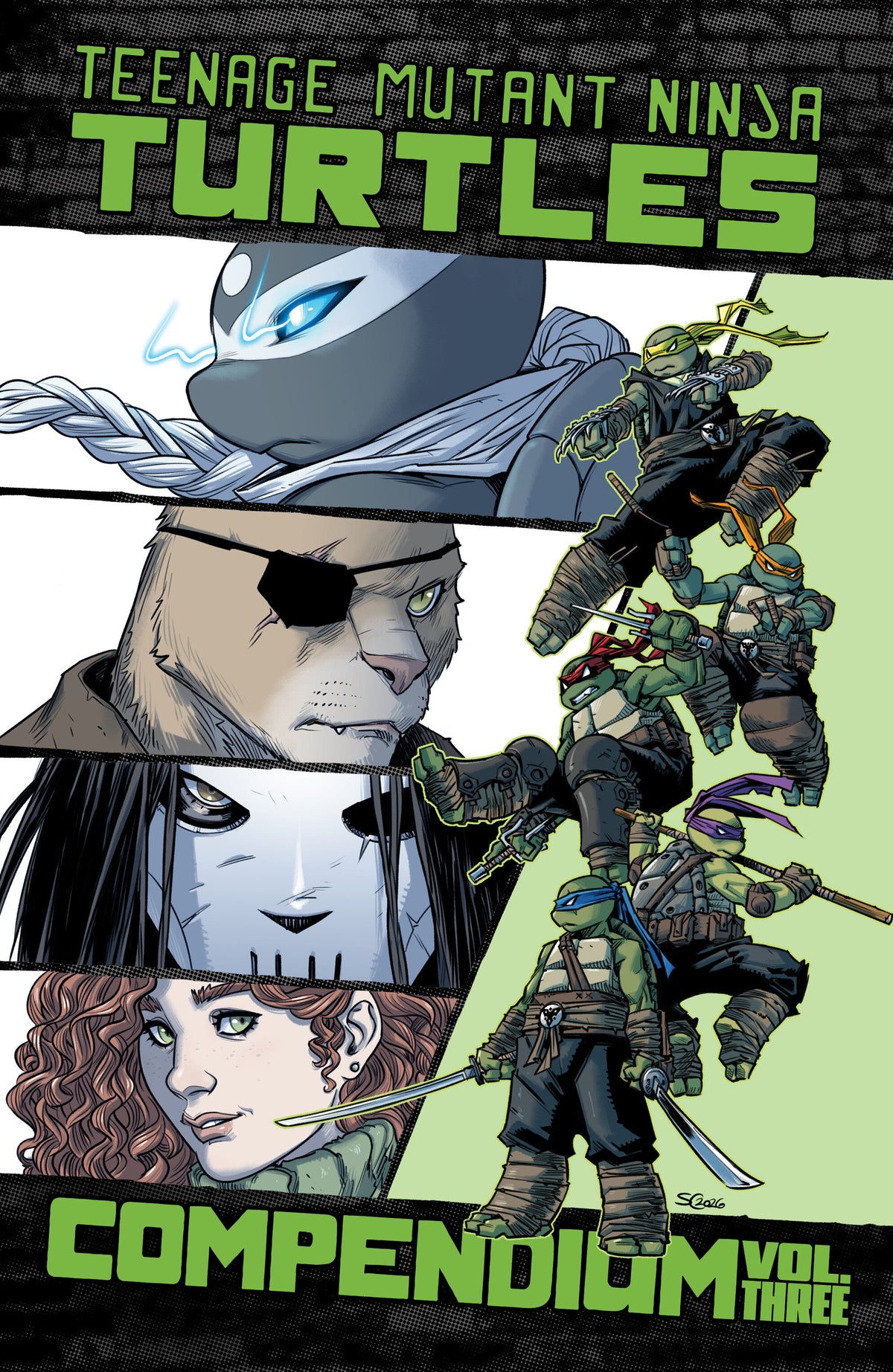 Teenage Mutant Ninja Turtles: Ongoing Compendium Vol 03 TPB