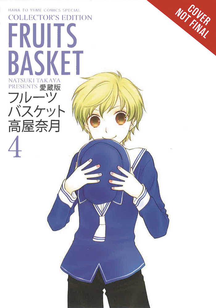 Fruits Basket Collectors Edition Vol 04