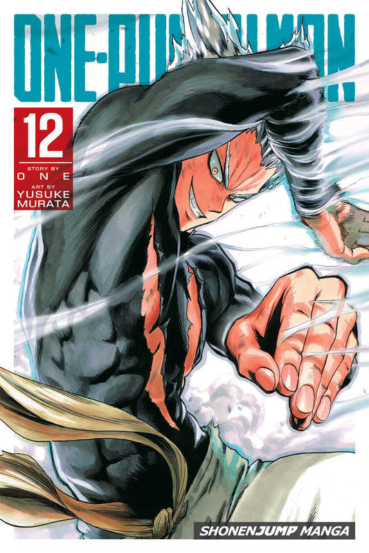 One Punch Man Vol 12