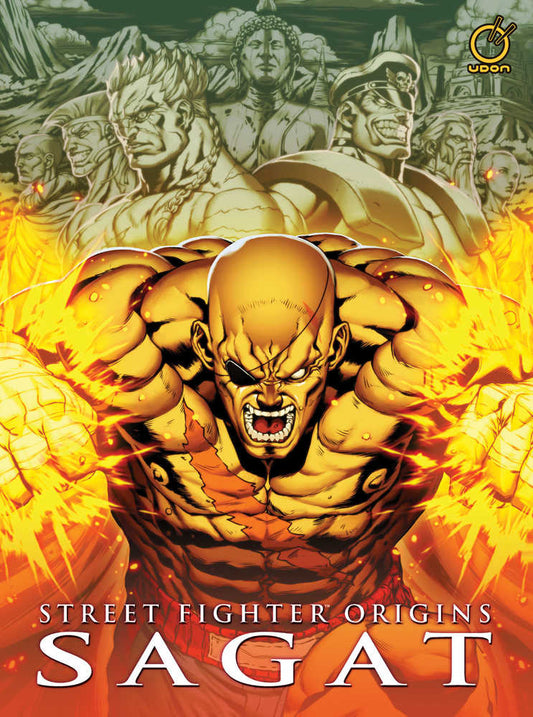 Street Fighter Origins Sagat Hardcover