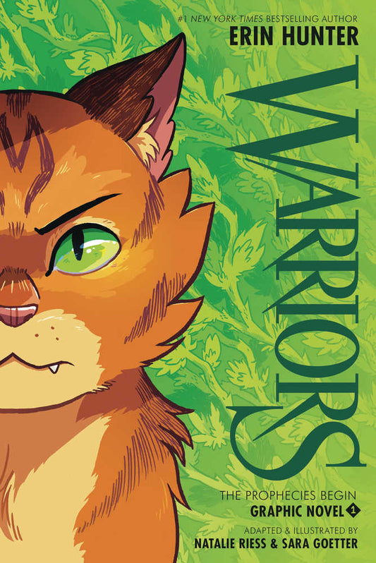 Warriors Vol 02: Prophecies Begin Graphic Novel