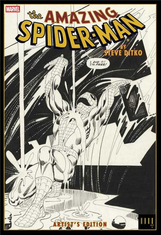 Amazing Spider-Man By Steve Ditko Artists Edition HC Rain Cover