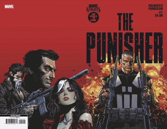 Marvel Knights: Punisher #1 (2nd Print) Dan Panosian Variant