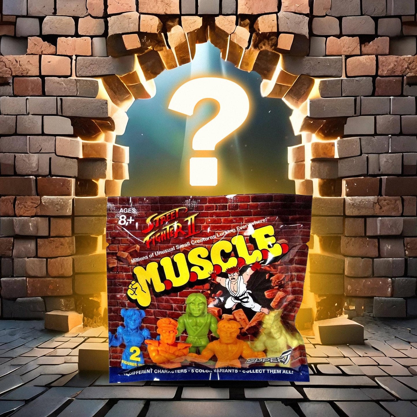 Street Fighter II M.U.S.C.L.E. | Random 2-Pack
