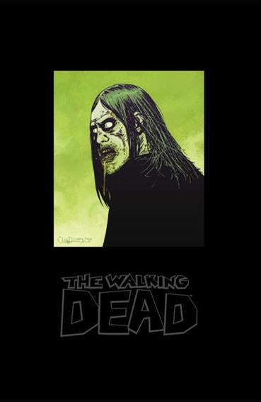 Walking Dead Deluxe Hardcover Slipcase Edition Vol 02